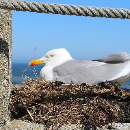 La Ferme De Fumichon Σπίτι διακοπών Tour-en-Bessin