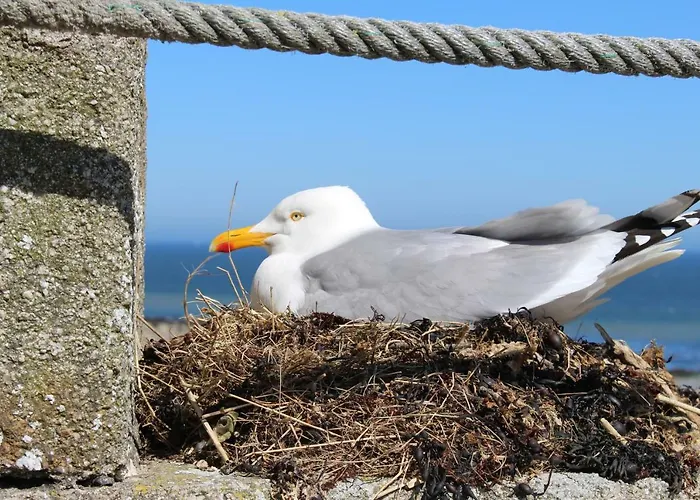 Maison familiale Gîte Omaha Calvados Hébergement de vacances Tour-en-Bessin
