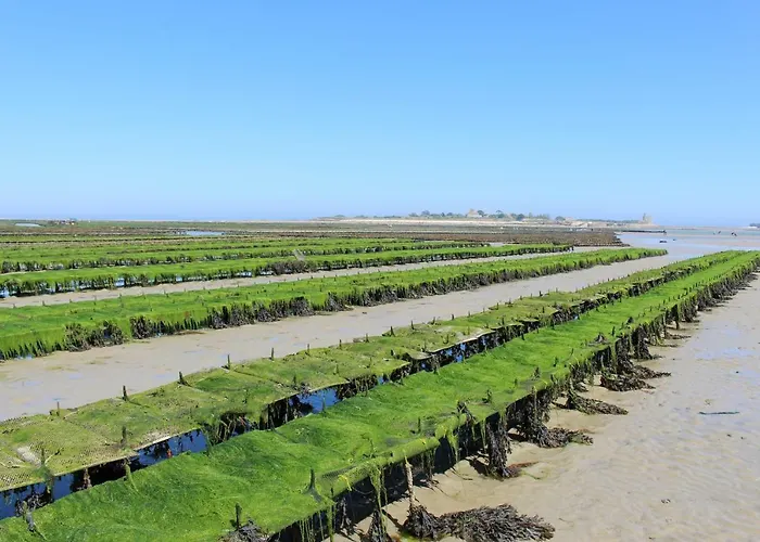 Maison Familiale Gite Omaha Calvados Holiday home Tour-en-Bessin